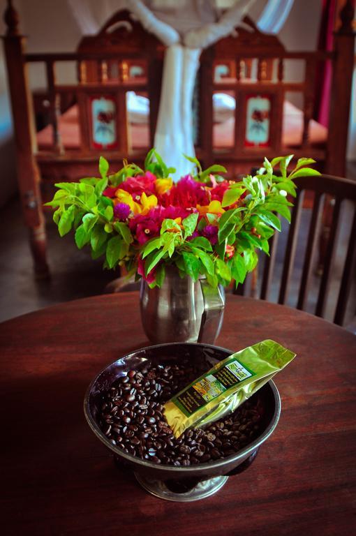 Отель Coffee House